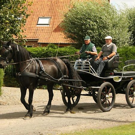 B&B De Klaproos Merkem Esterno foto